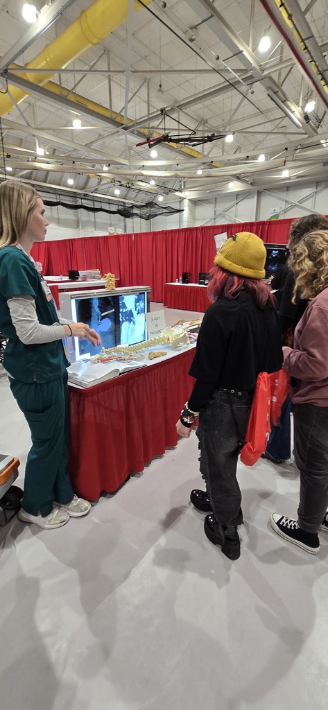 Learning  how to view x-rays.