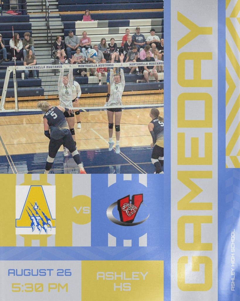 Volleyball