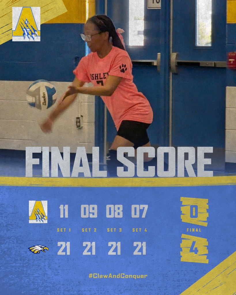 Volleyball