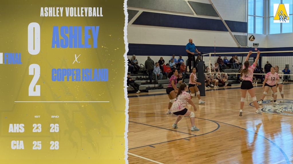 Volleyball