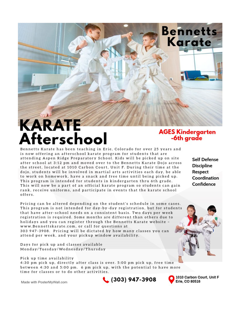 Karate classes flyer