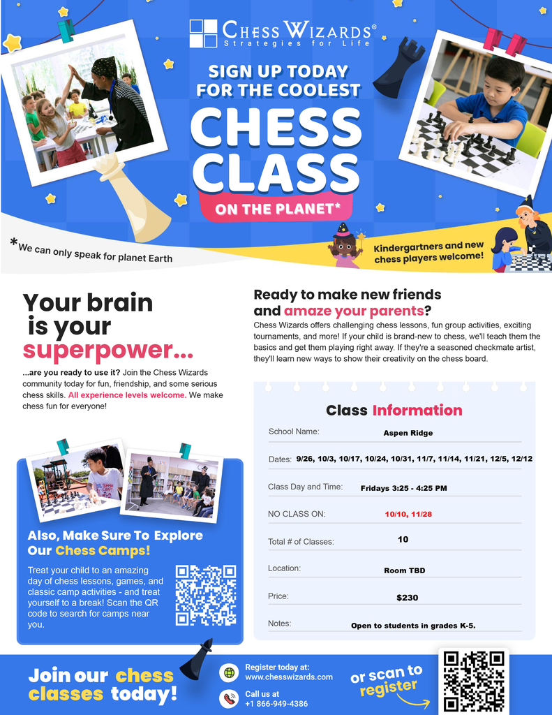 Chess classes flyer