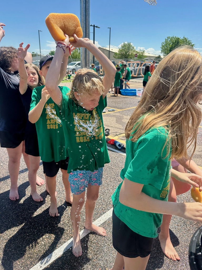 field day