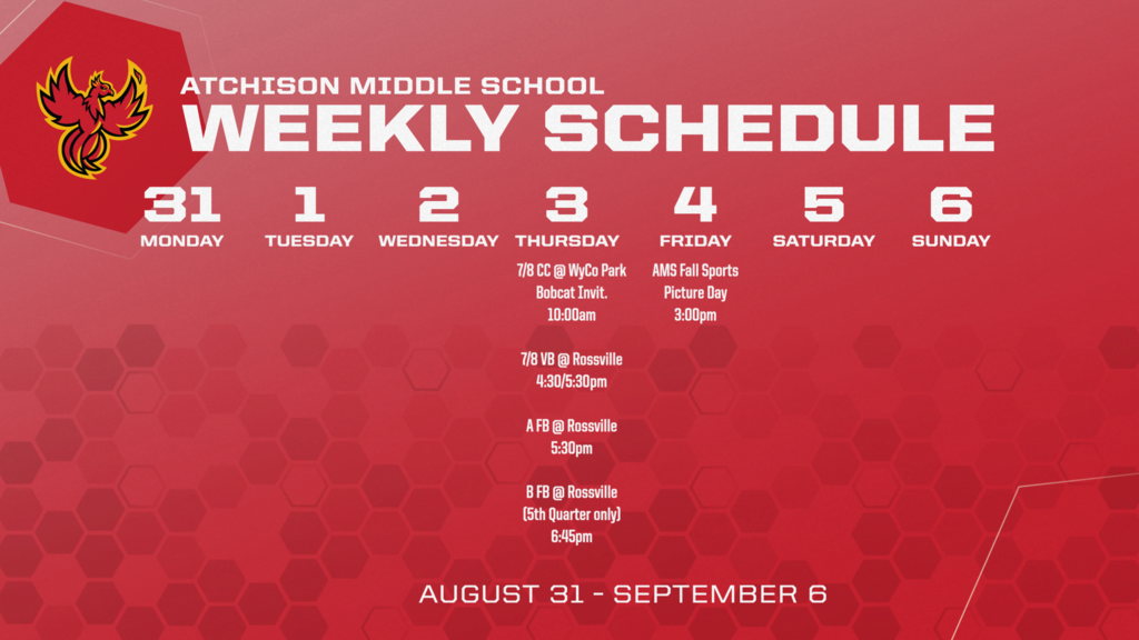 ams weekly