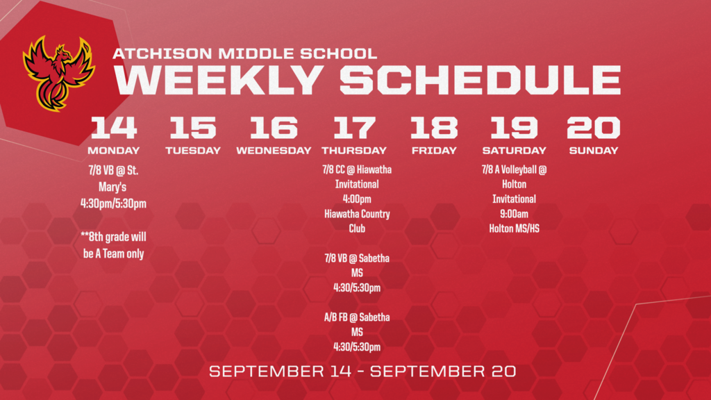 ams weekly