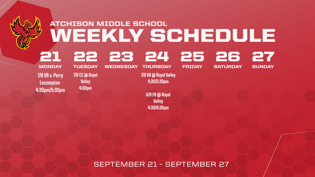 ams weekly