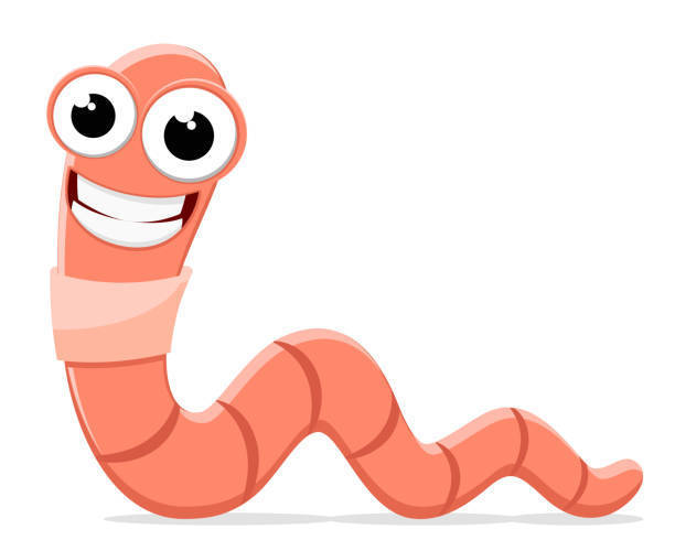 Worm