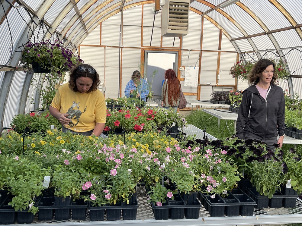 plant sale