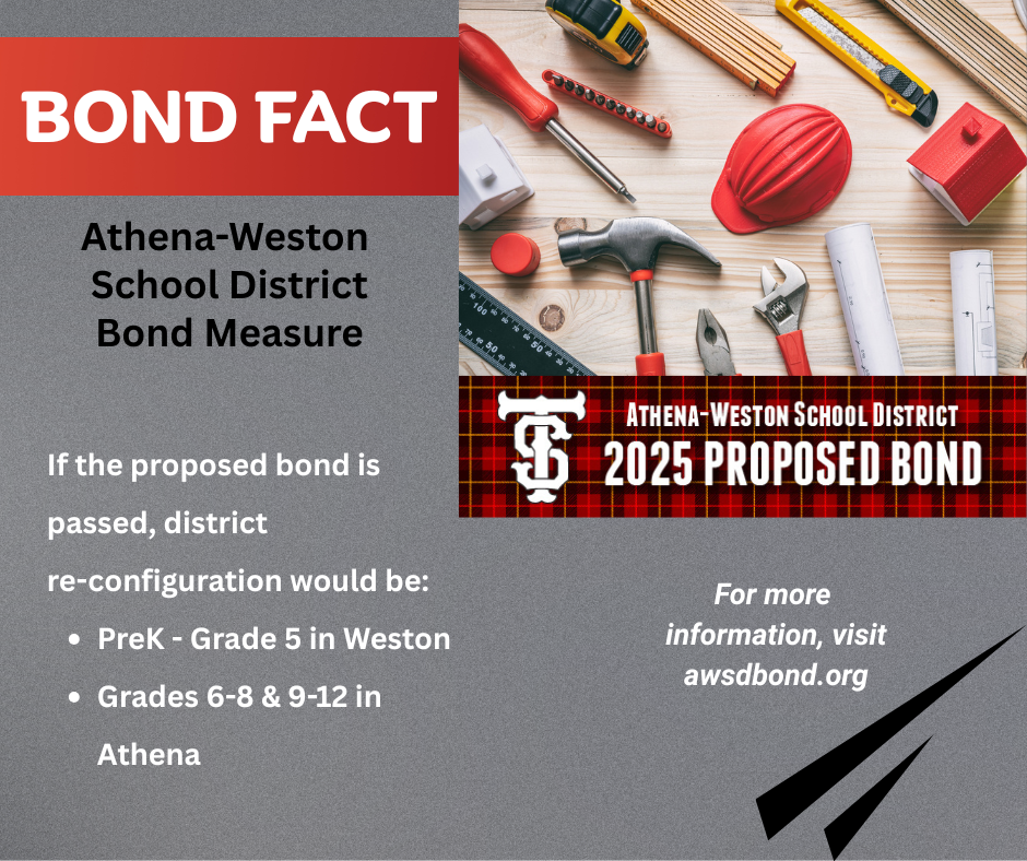 bond fact - district reconfiguration
