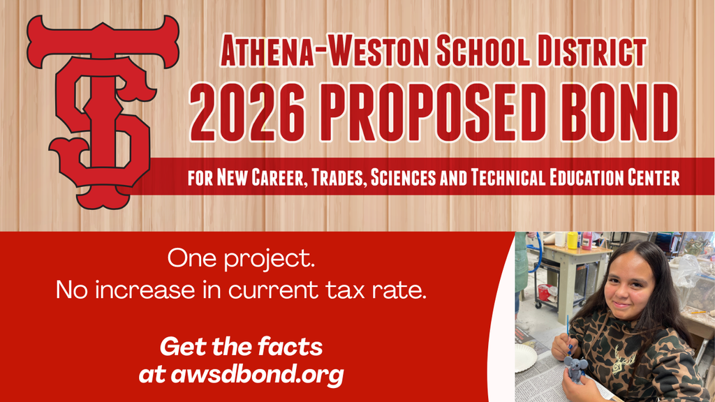 district bond graphic with art