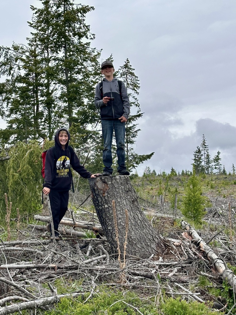 two boys near tree stump