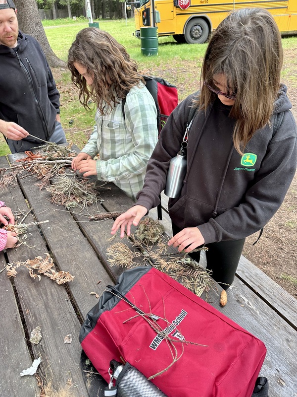 students looking at grass
