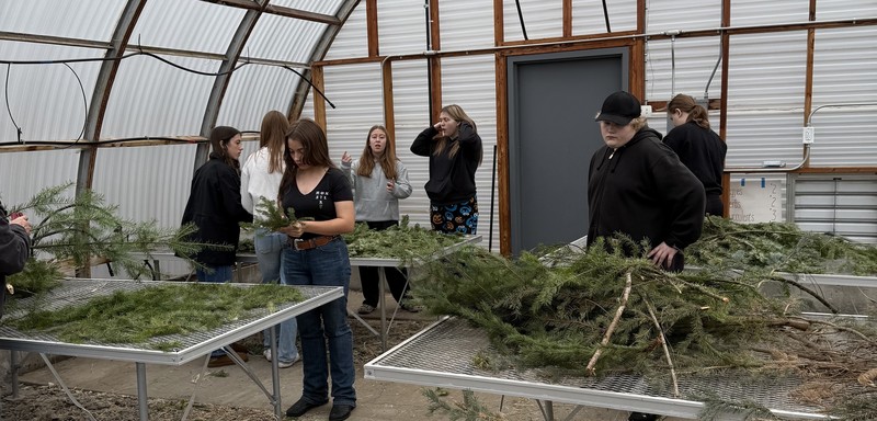 students in greenhouse