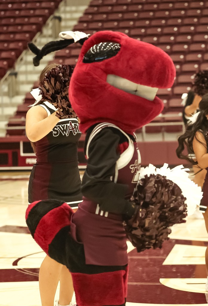 hornet mascot