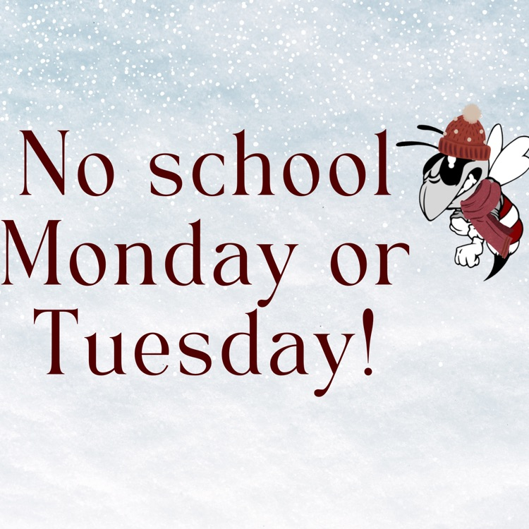 A graphic that says no school Monday or Tuesday with a hornet in a toboggan