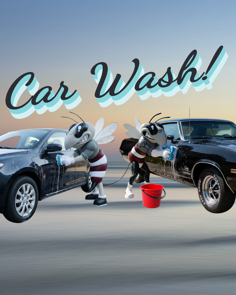 Alt text: Two cartoon-style Hornet mascots wash a dark sedan and a black classic car, with soap suds and a red bucket in front of a soft sunset background. Large script text across the top reads, “Car Wash!”