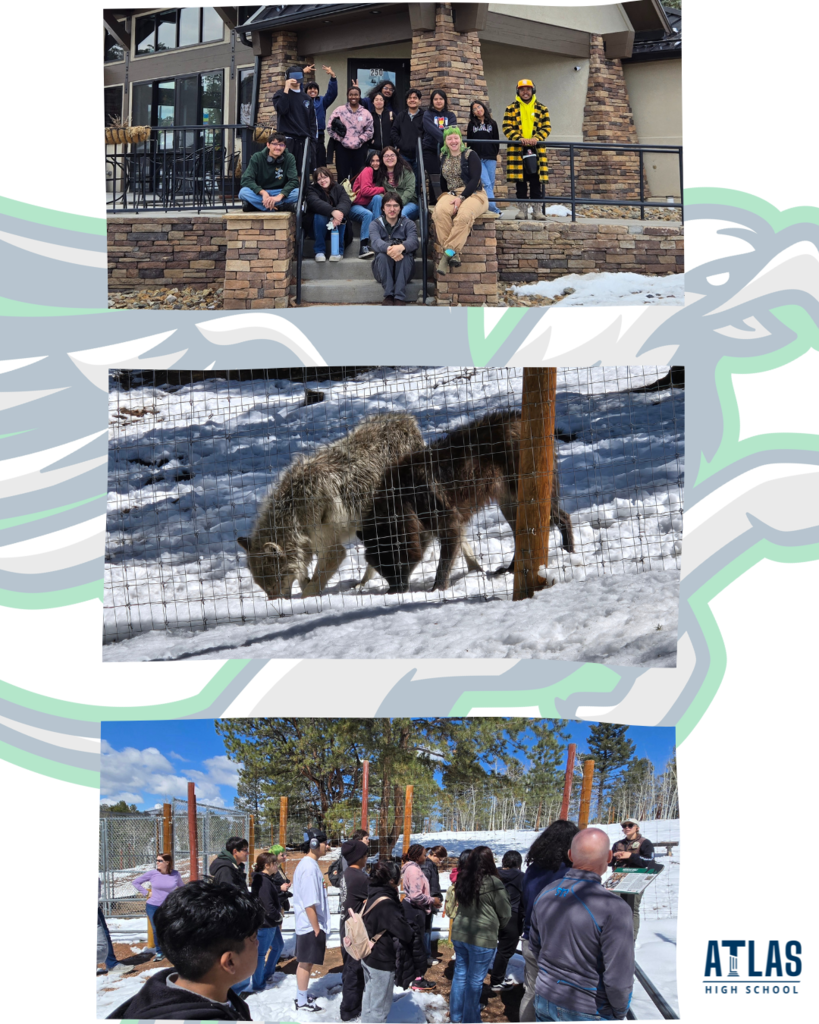 wolf sanctuary field trip with students