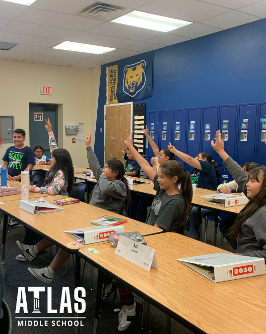 students raise hands in classroom
