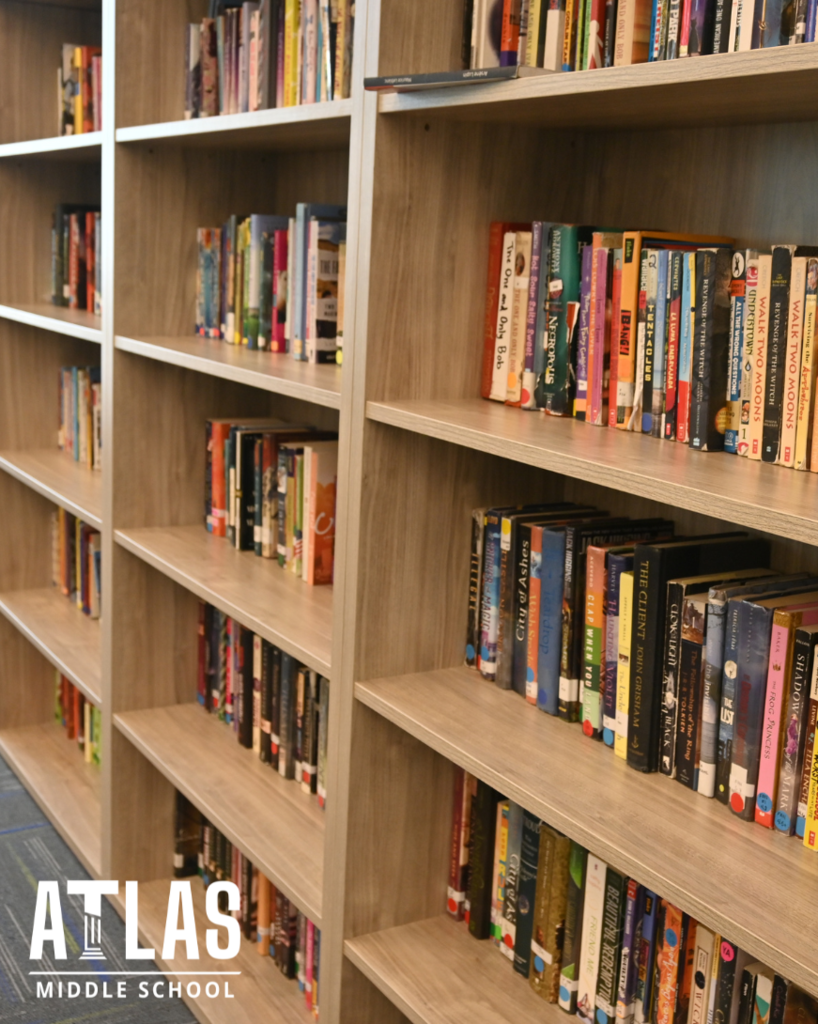 books on shelvesbooks on shelves