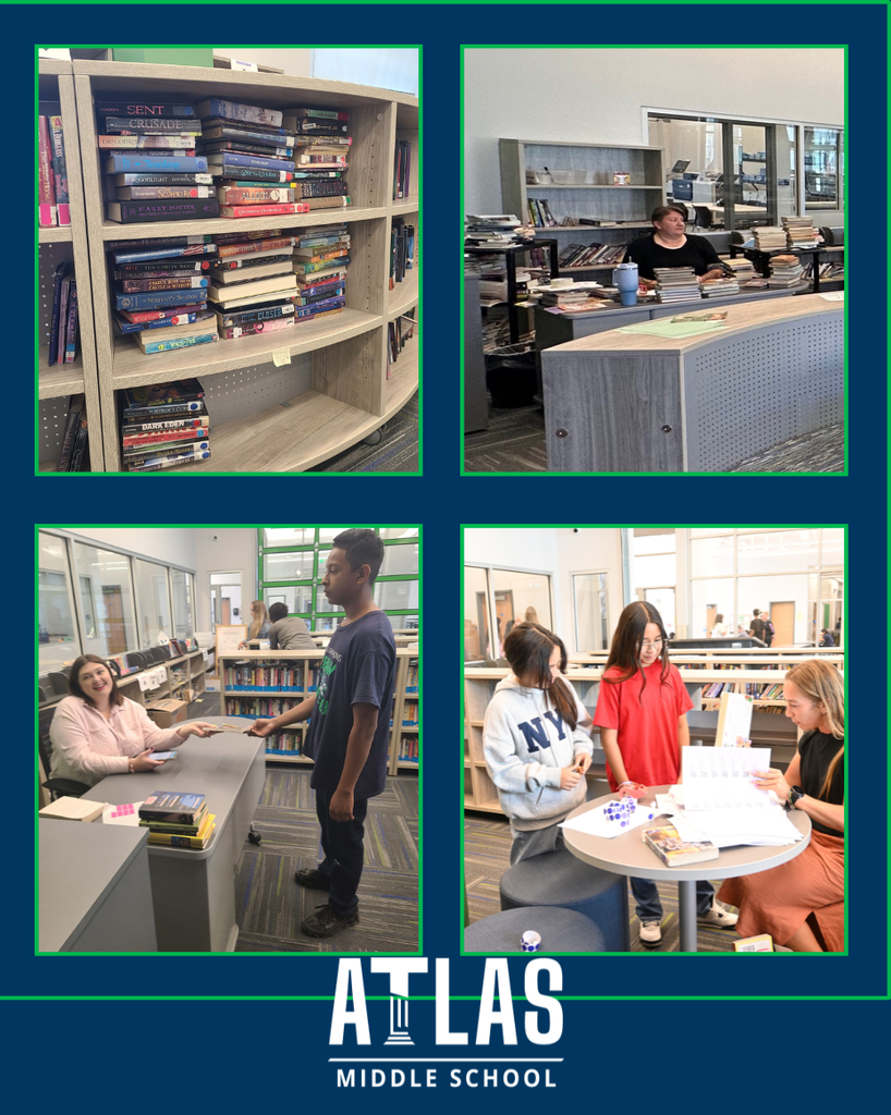 people organizing library