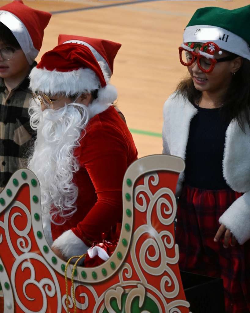 Santa and his sleigh