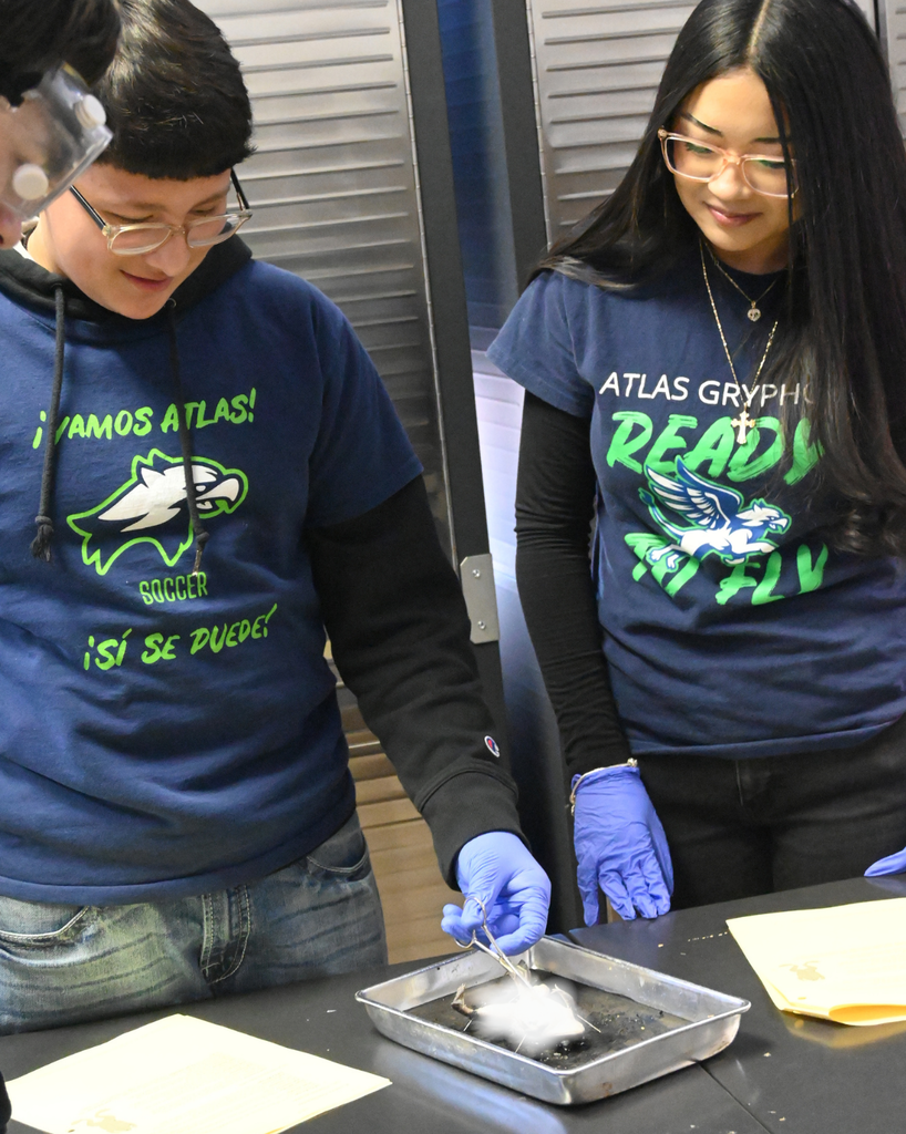 students disect a frog