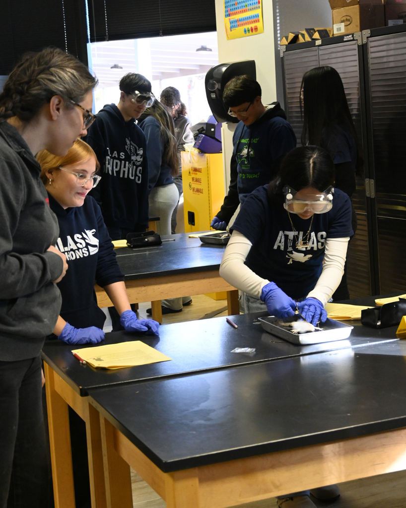 students disect a frog