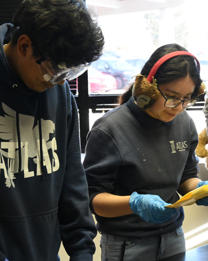 students disect a frog