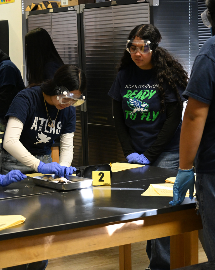 students disect a frog