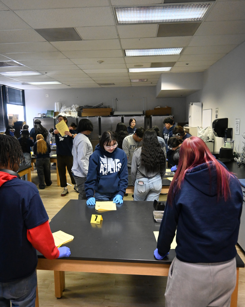 students disect a frog
