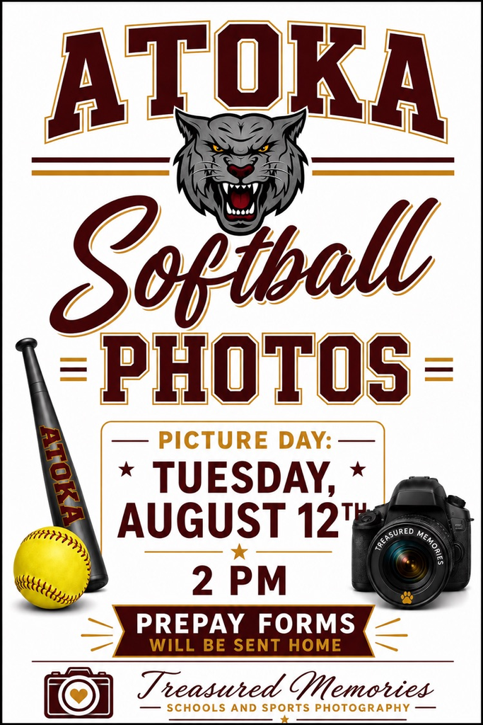 softball picture flyer