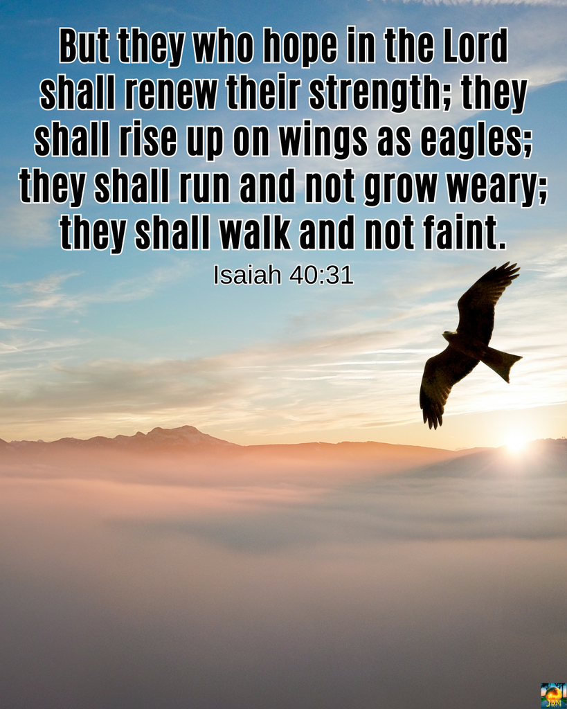 An eagle soaring above the clouds with the sun on the horizon; But they who hope in the Lord shall renew their strength; they shall rise up on wings as eagles; they shall run and not grow weary; they shall walk and not faint. (Isaiah 40:31)