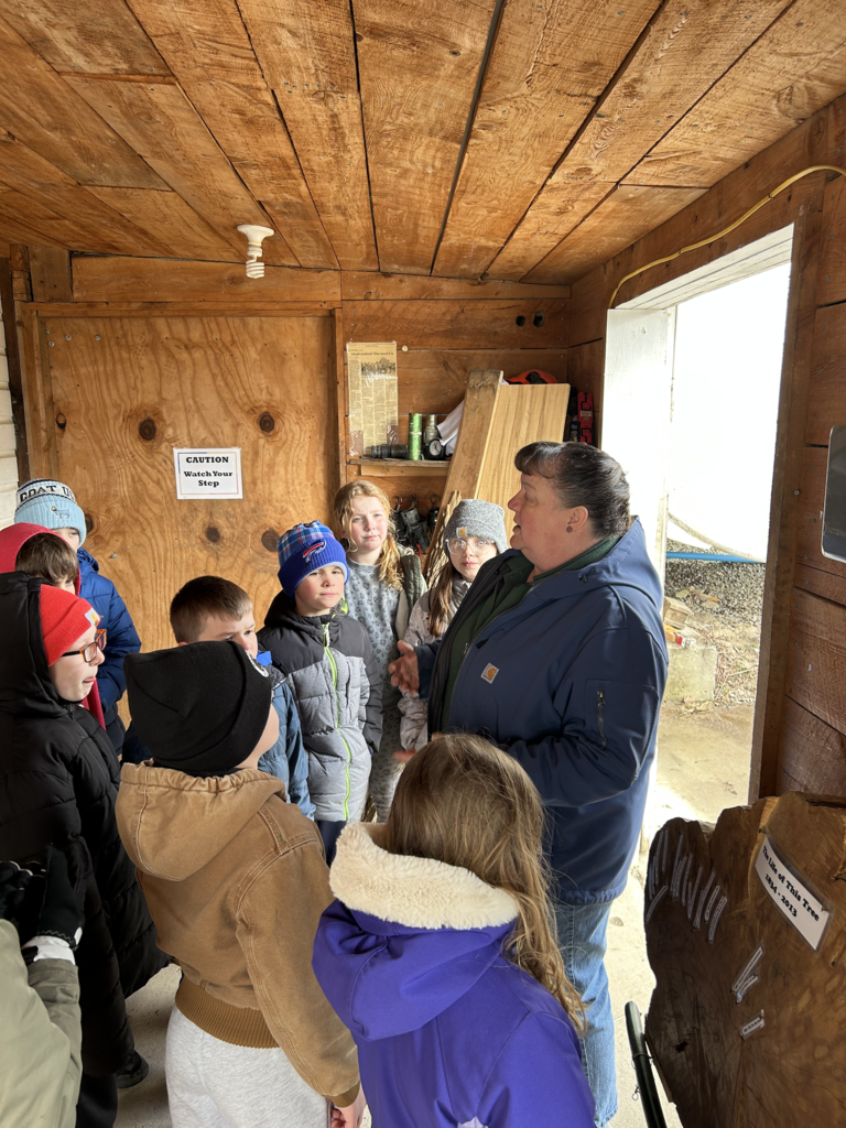Scenes from fourth graders’ field trip to Merle Maple Wednesday.