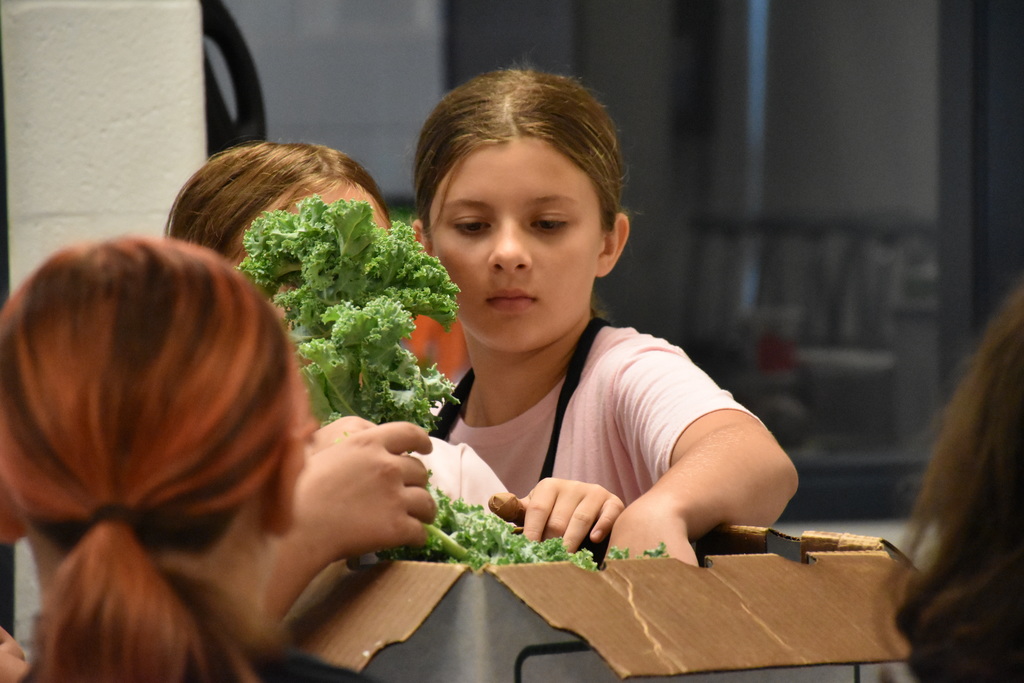 Scenes from Summer Ag Camp on Aug. 7. 