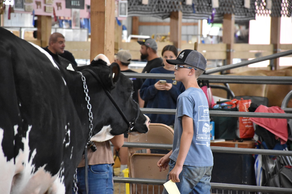 Scenes from the Wyoming County Fair on Wednesday, Aug. 13. 
