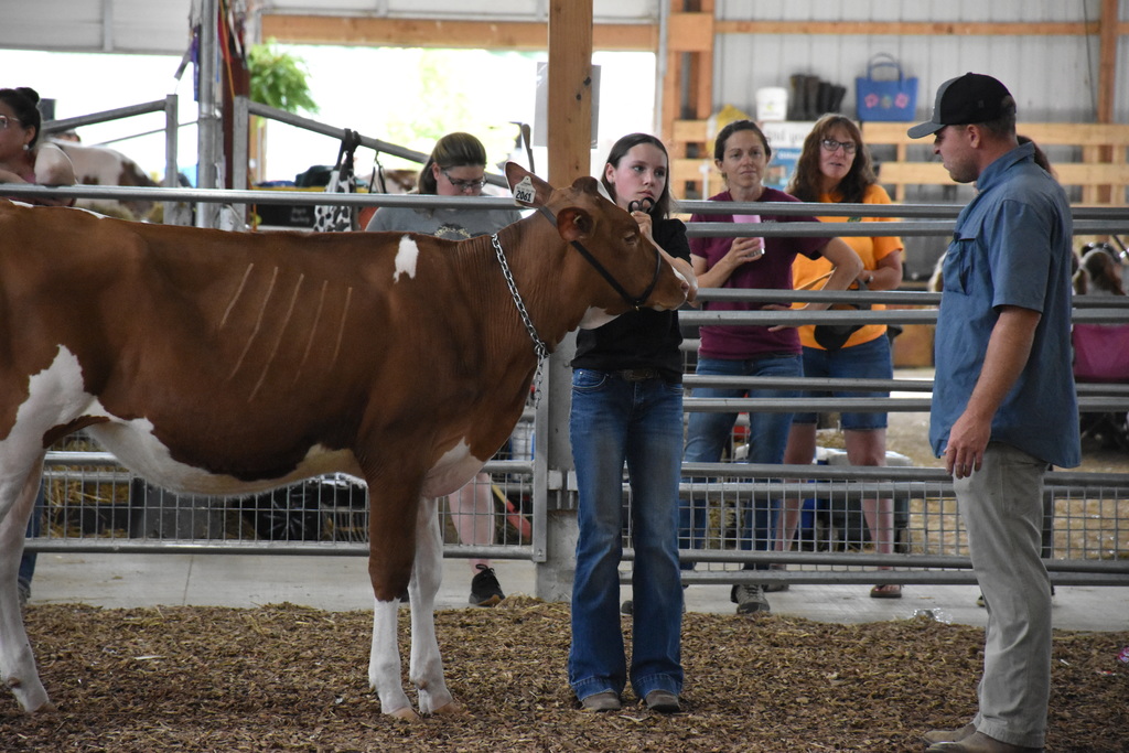 Scenes from the Wyoming County Fair on Wednesday, Aug. 13. 