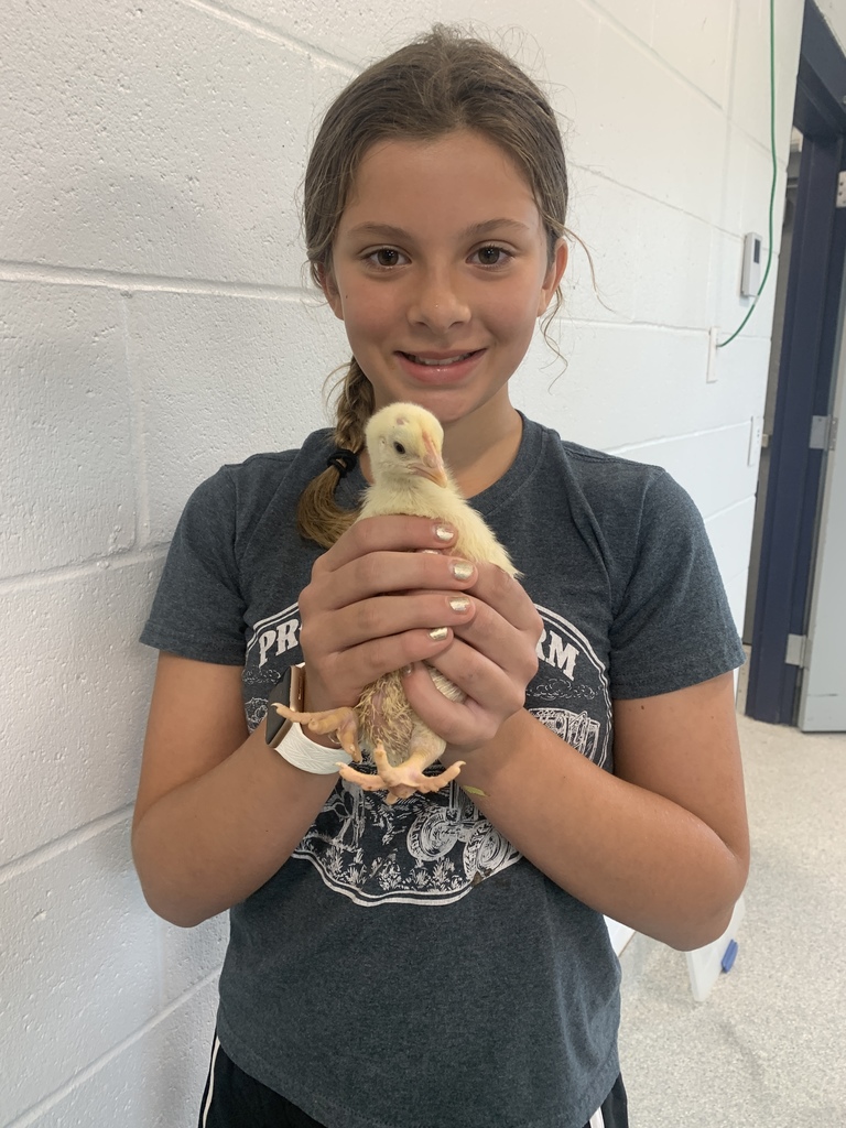 Summer Ag Camp. 