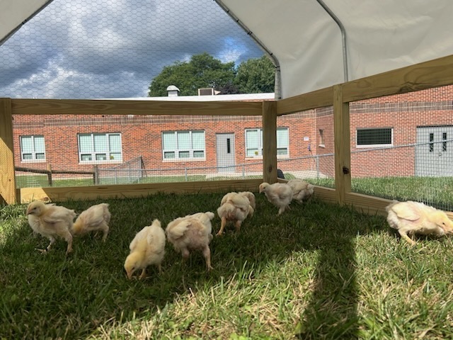 Outside classroom.