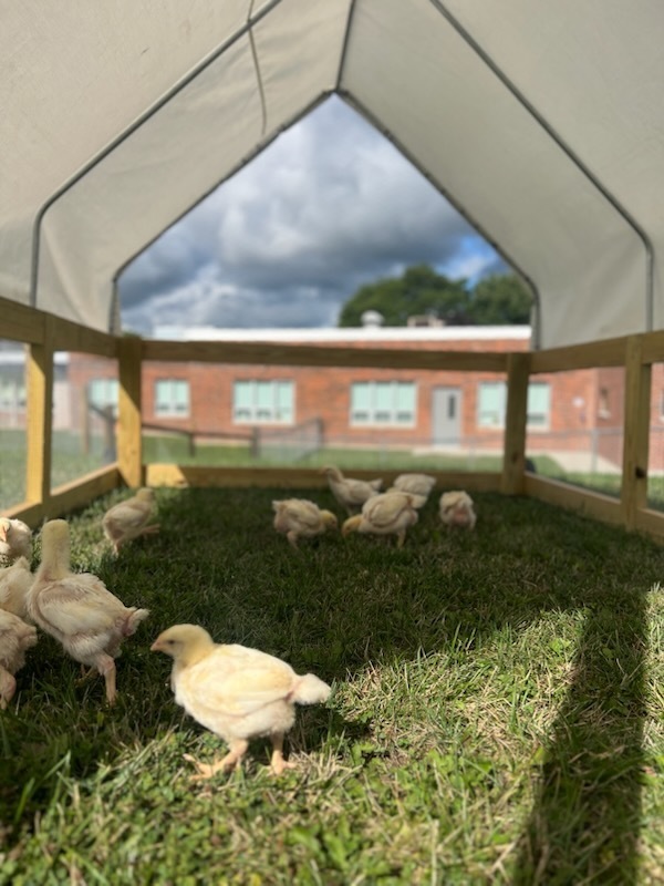 Outside classroom.