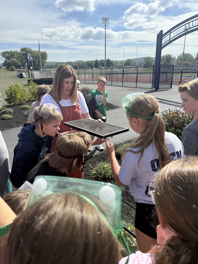 Scenes from 6th graders’ pumpkin volcanoes lesson. 