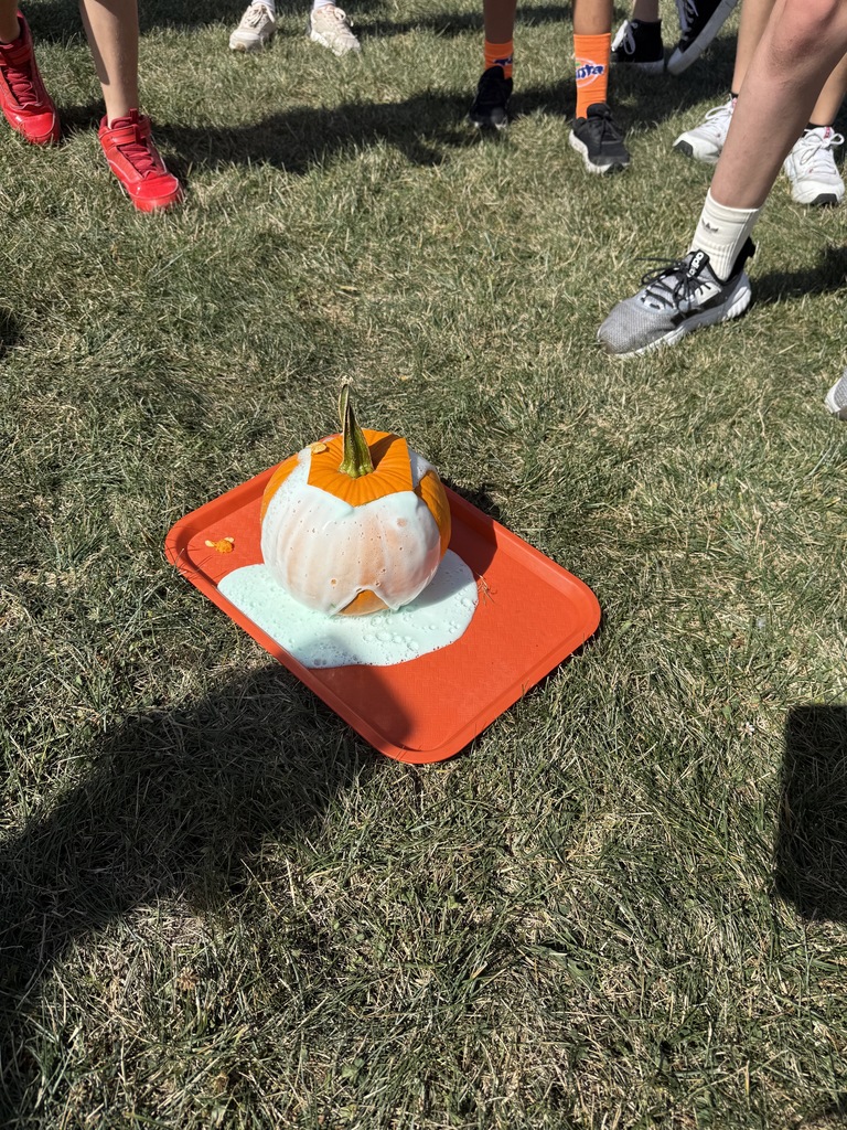 Scenes from 6th graders’ pumpkin volcanoes lesson. 