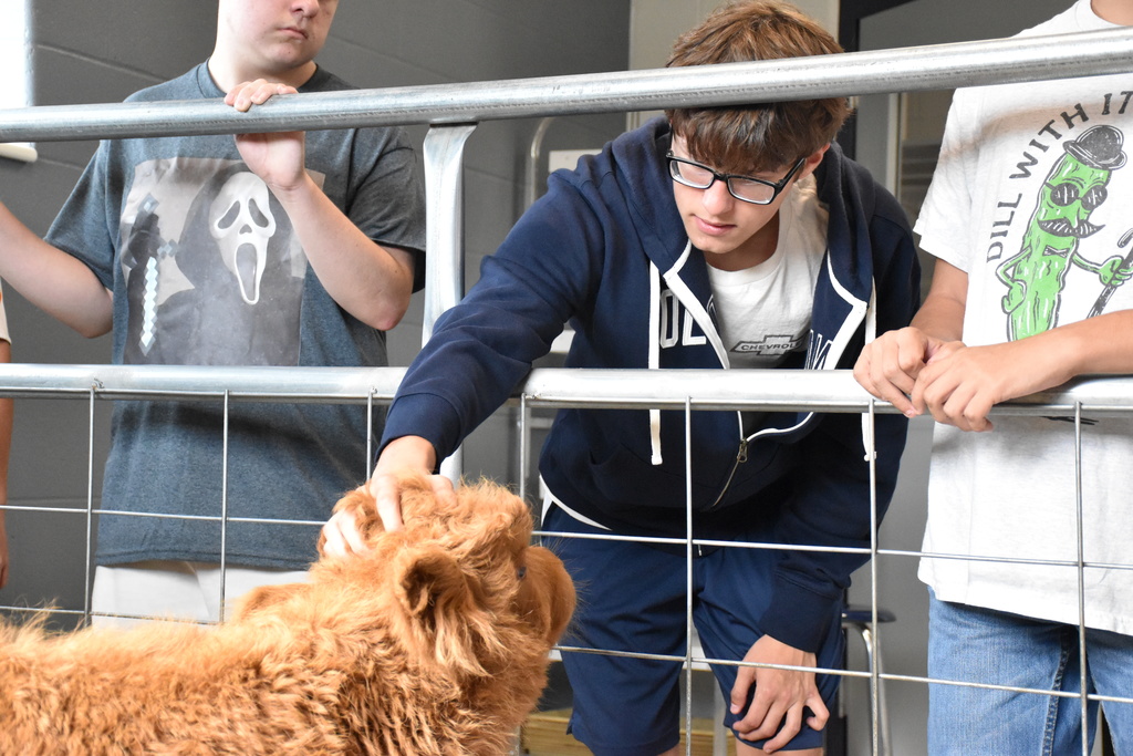 Scenes from Willow the Scottish Highlander’s visit to Attica today. 