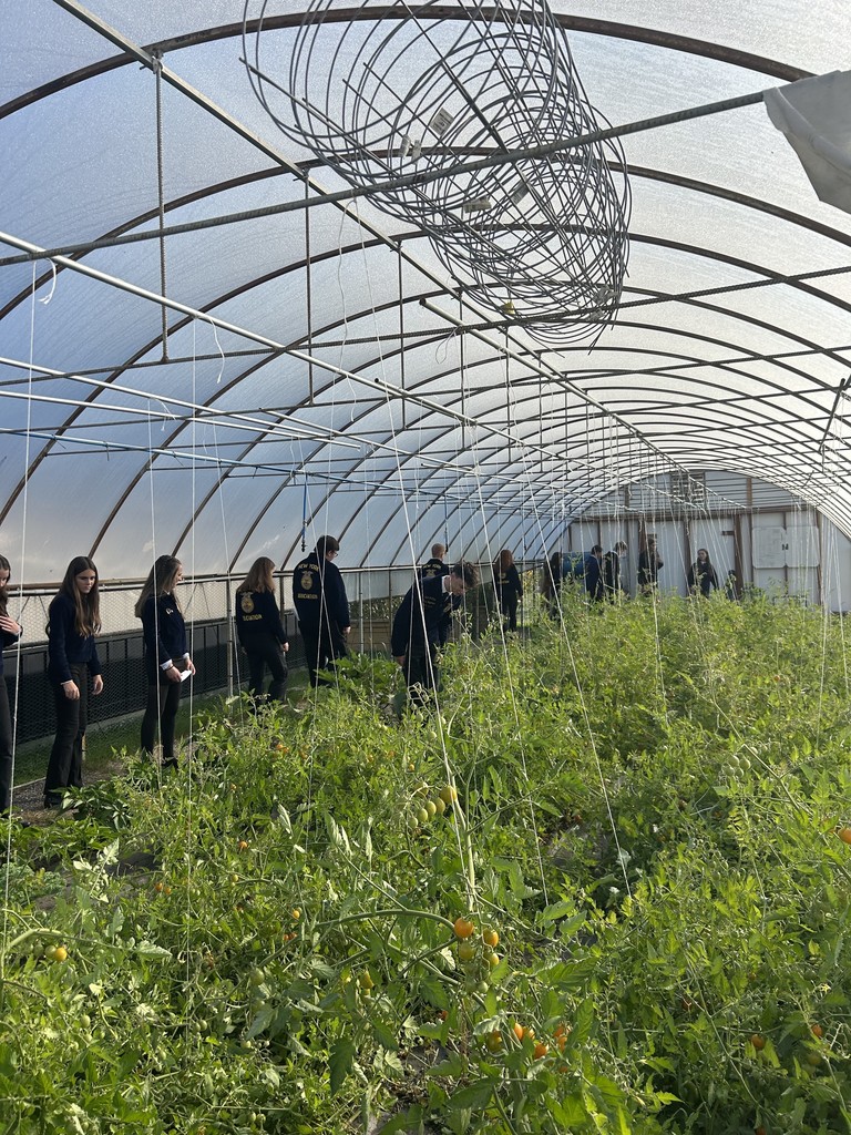 Scenes from the FFA state officers’ visit to Attica last week.