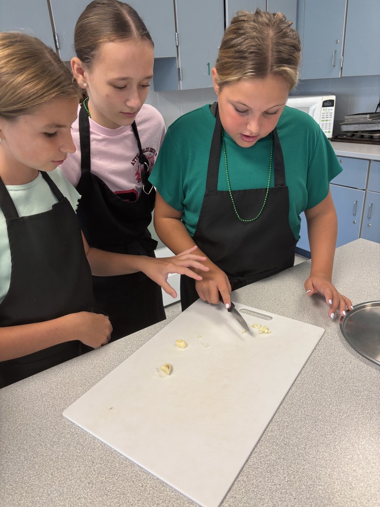Scenes from our tomato harvest and marinara sauce testing. 