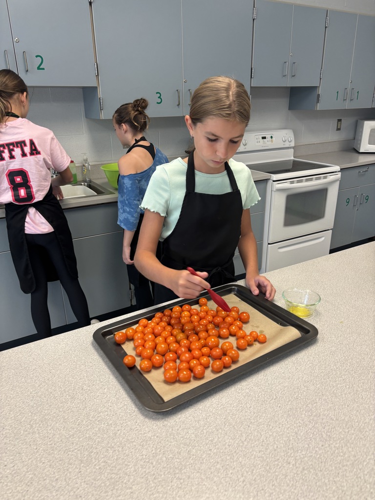 Scenes from our tomato harvest and marinara sauce testing. 