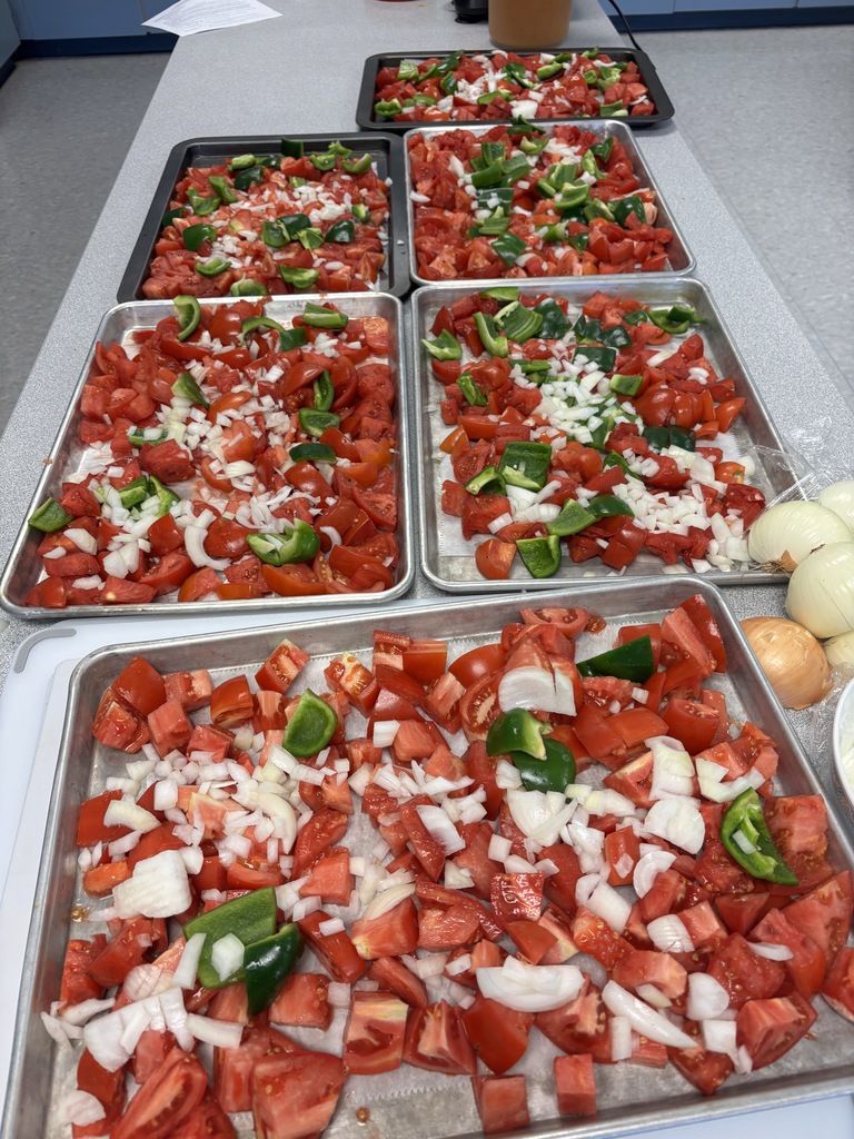 Scenes from our tomato harvest and marinara sauce testing. 