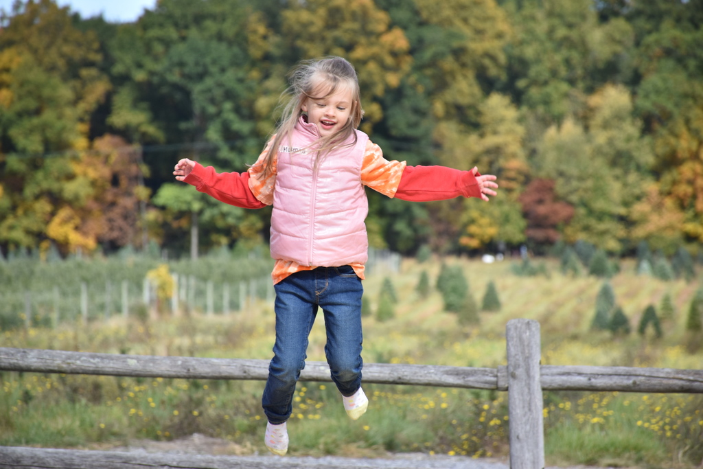 Scenes from our kindergarteners’ field trip to Stokoe Farms Thursday. 