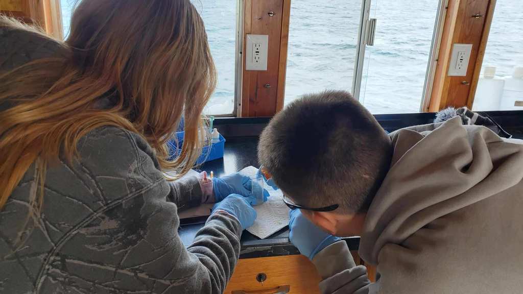 Scenes from Mrs. Elizabeth Winter's AP biology and Mrs. Jenna Linsey's local outdoor sciences students’ field trip to Seneca Lake earlier this week. 