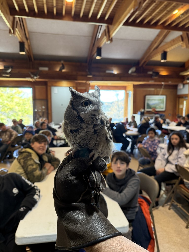 Scenes from sixth graders’ field trip to Beaver Meadow Nature Center Tuesday. 