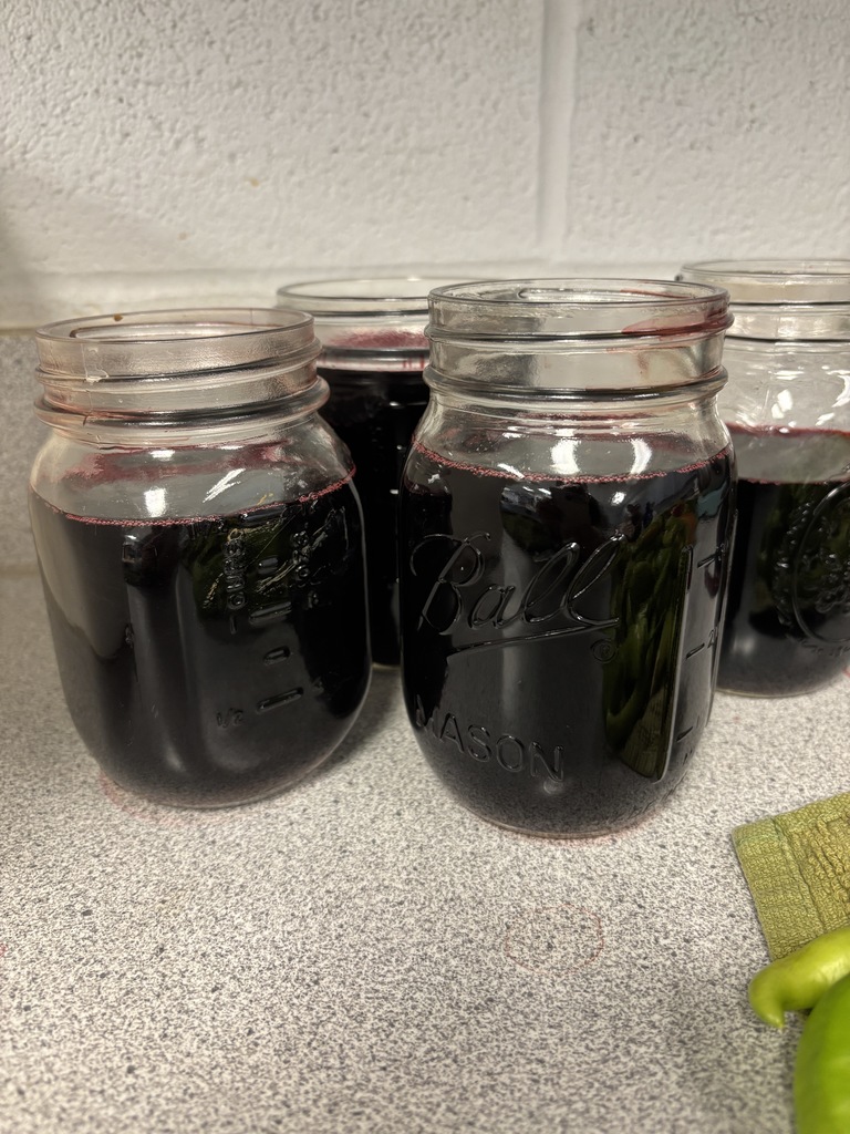 Scenes from our Oct. 30 Fresh Connections Club meeting. 